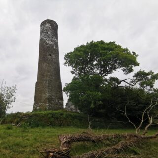 the round tower looming towards the sky, with a tree growing beside it.
